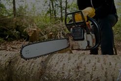 Tree Service Bronx - Cutting & Removal Company Image
